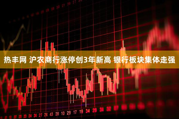 热丰网 沪农商行涨停创3年新高 银行板块集体走强