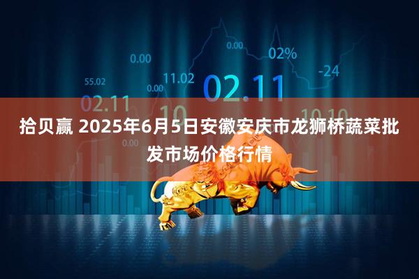 拾贝赢 2025年6月5日安徽安庆市龙狮桥蔬菜批发市场价格行情