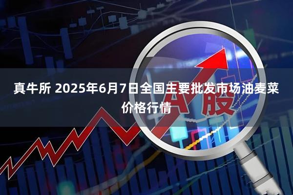 真牛所 2025年6月7日全国主要批发市场油麦菜价格行情