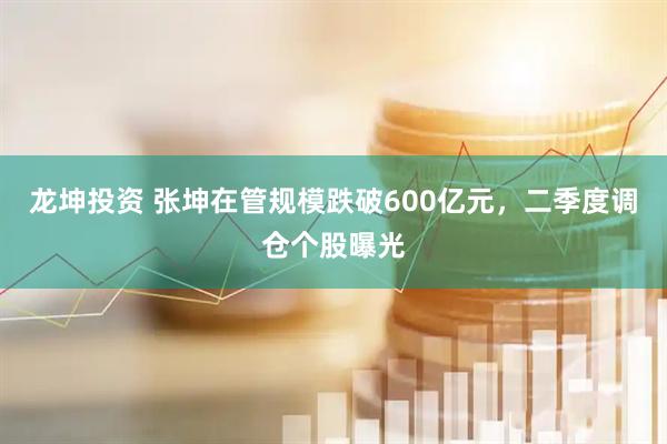 龙坤投资 张坤在管规模跌破600亿元，二季度调仓个股曝光