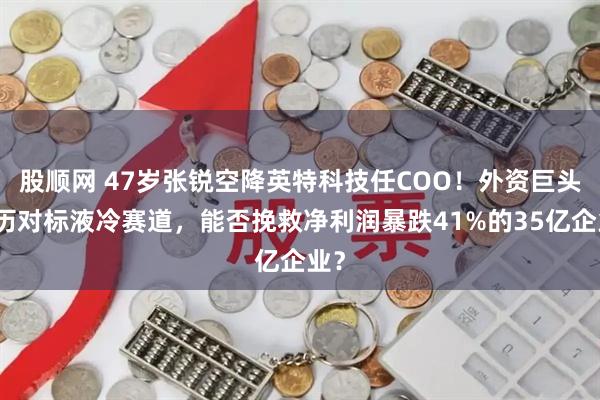 股顺网 47岁张锐空降英特科技任COO！外资巨头履历对标液冷赛道，能否挽救净利润暴跌41%的35亿企业？